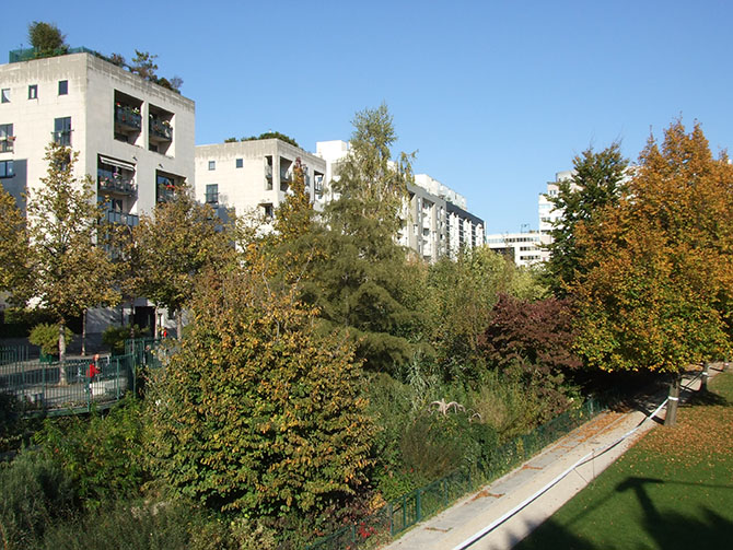 En ville, les promenades plantées peuvent devenir, selon leur largeur et leur gestion, des habitats pour plusieurs espèces d’oiseaux et permettre de reconnecter différents quartiers - © P. Clergeau